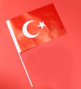 Türk Bayrağı & Mini Haribo Altın Ayıcık & Türk Bayraklı Balon & Çocuk Dikim Kiti 23 Nisan Hediye Seti #4